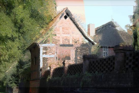 Backhaus 