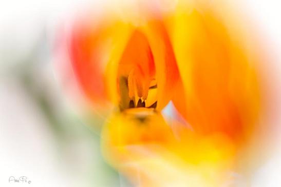 Einblick 