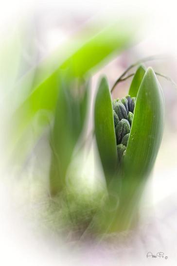 Frühlingsbeginn