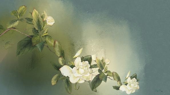 White Roses