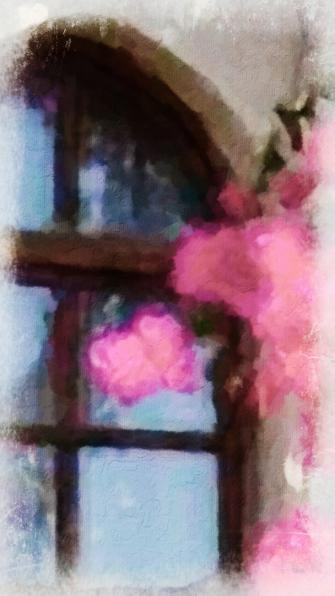 Window